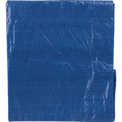 Do it Best Blue Woven 6 Ft. x 8 Ft. General Purpose Tarp