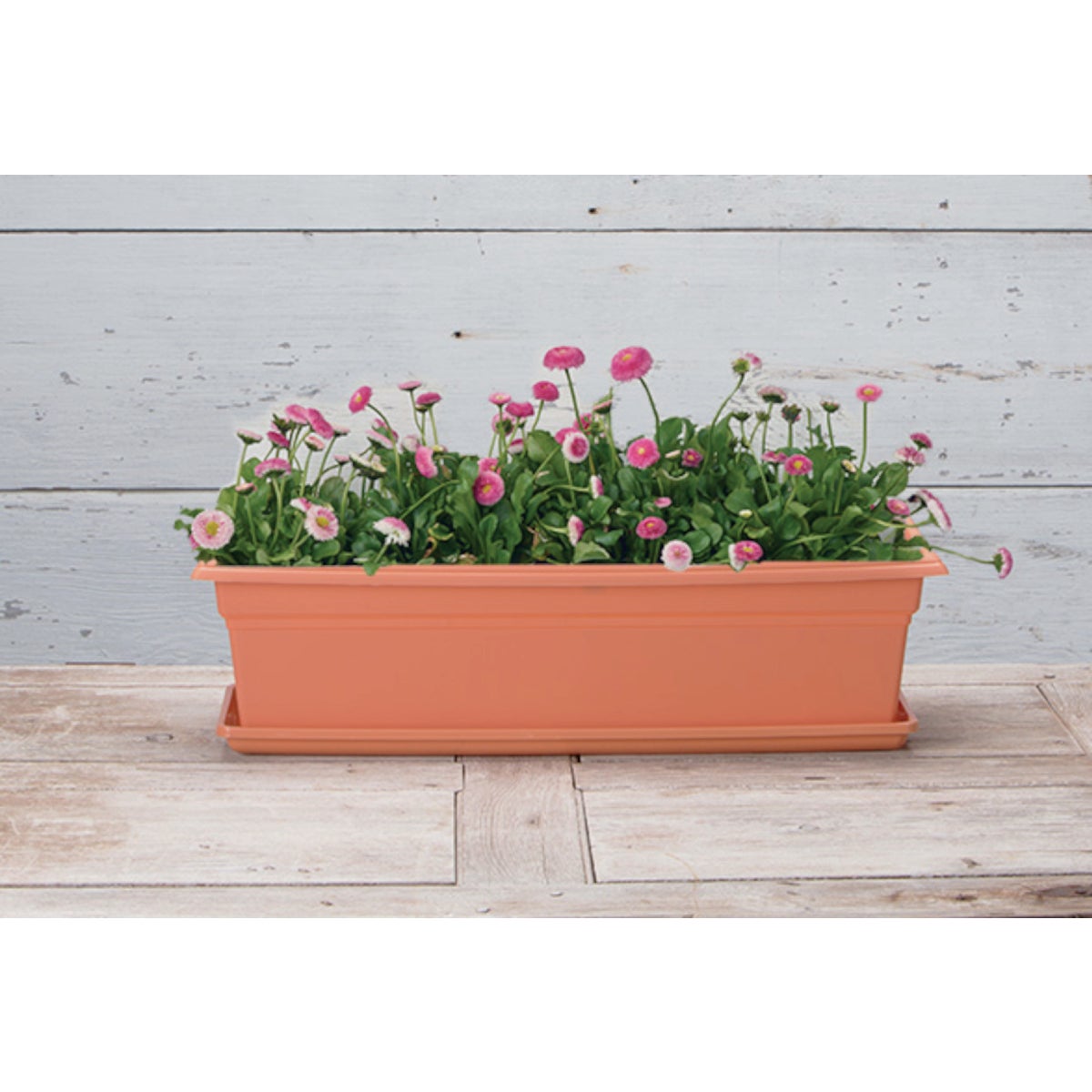 Novelty 24 In. Terra Plastic Flower Box Tray