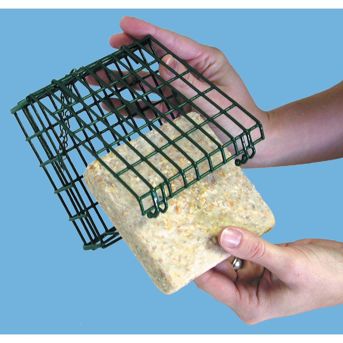 Stokes Select Green 1-Cake Steel Suet Feeder