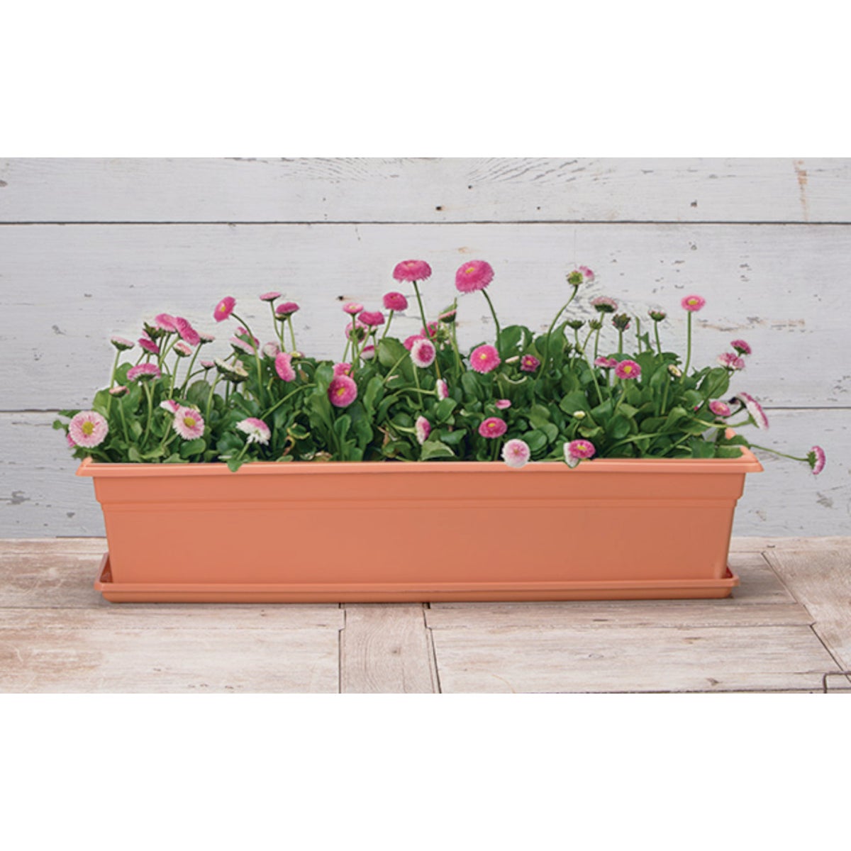 Novelty 30 In. Terra Plastic Flower Box Tray
