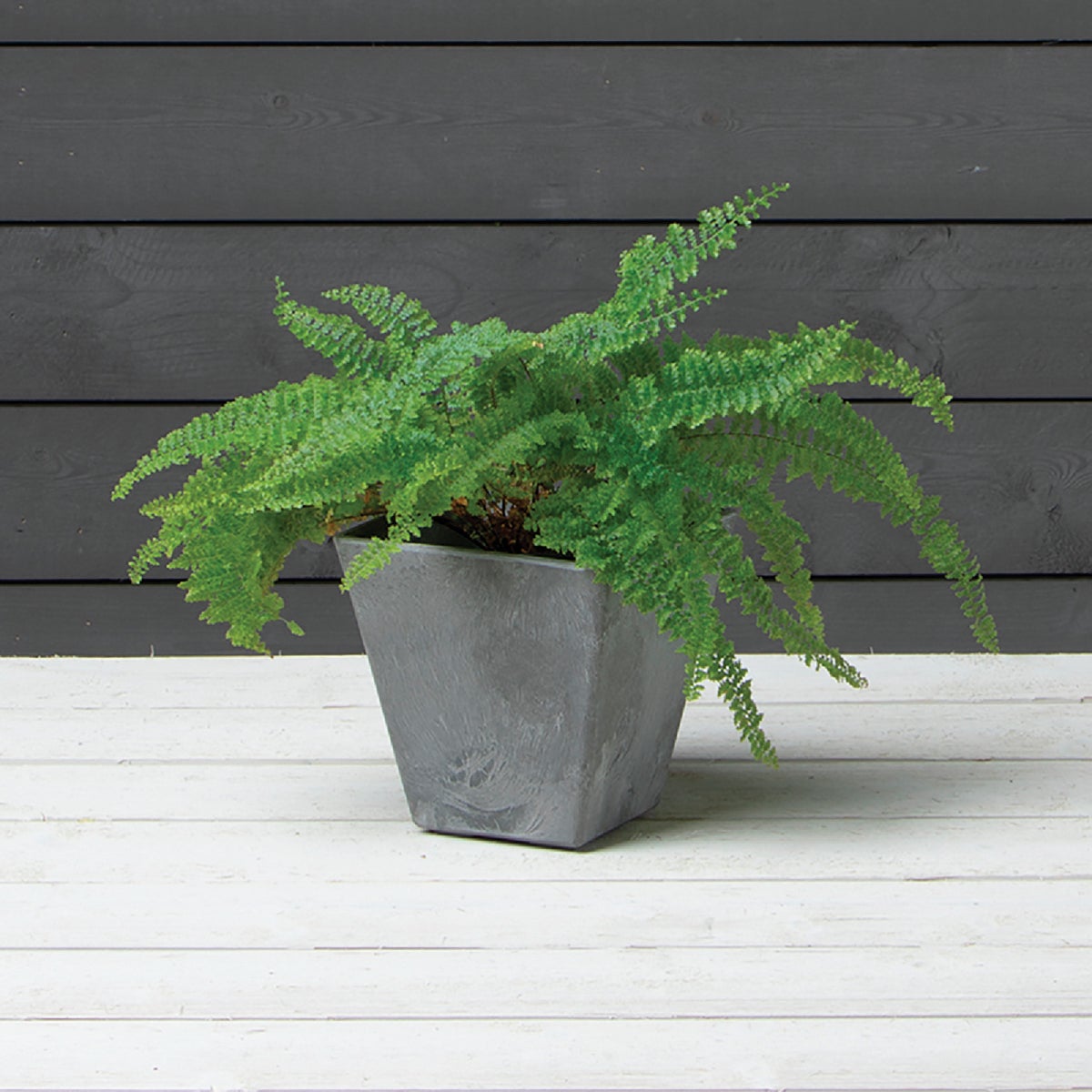 Novelty ArtStone Ella 6 In. W. x 6 In. H. x 6 In. L. Gray Resin Planter