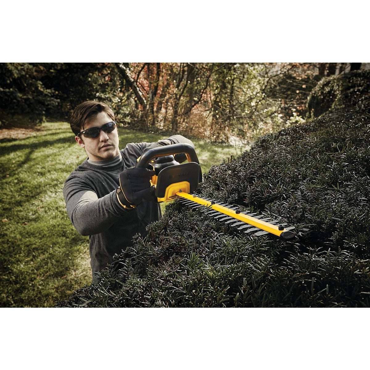 DeWalt 20V MAX 22 In. Lithium Ion Cordless Hedge Trimmer (Bare Tool)