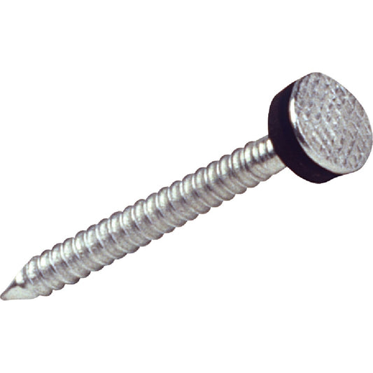 Grip-Rite 2 In. 10 ga Hot Galvanized Roofing Washer Nails (4800 Ct., 50 Lb.)