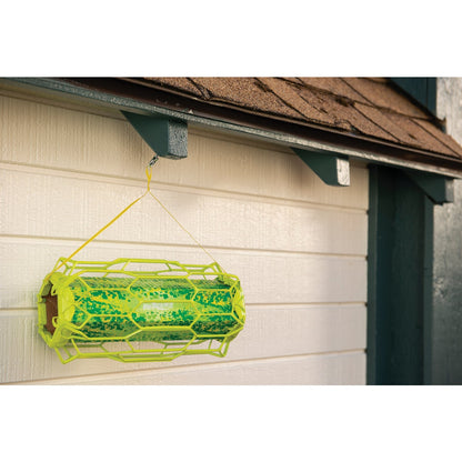 Rescue TrapStik Disposable Carpenter Bee Trap
