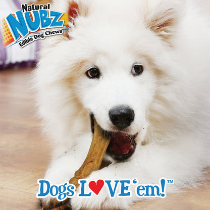Nylabone Natural Nubz Bully Stick Grain Free Dog Treat Chew (2-Pack)