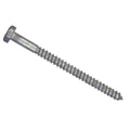 Hillman 1/4 In. x 2 In. Galvanized Hex Lag Screw (100 Ct.)