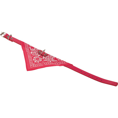 Smart Savers Adjustable 19-1/2 In. Nylon Dog Collar