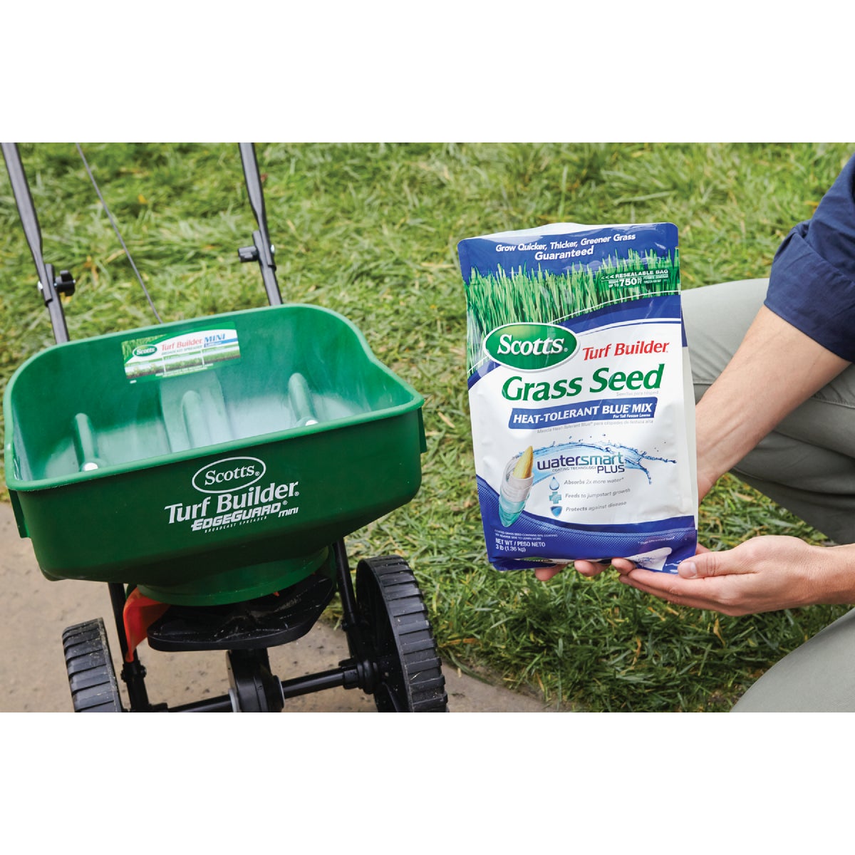 Scotts Turf Builder 3 Lb. 750 Sq. Ft. Coverage Heat Tolerant Blue Grass Seed