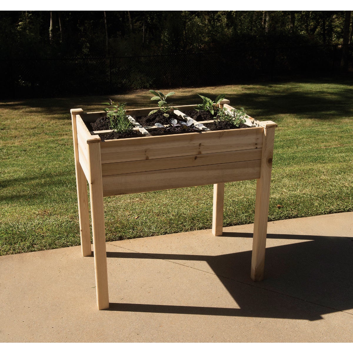 Master Gardner 34 In. x 48 In. 35 In. Hardwood Organic Garden Table