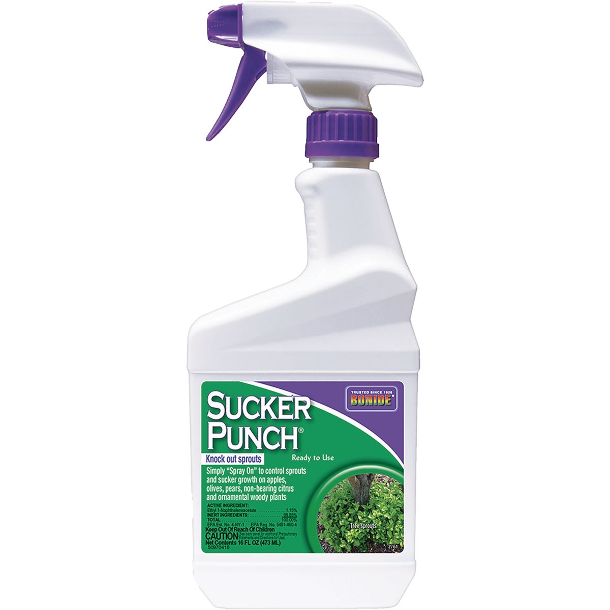 Bonide Sucker Punch 16 Oz. Ready-To-Use Sprout Control Vegetation Killer