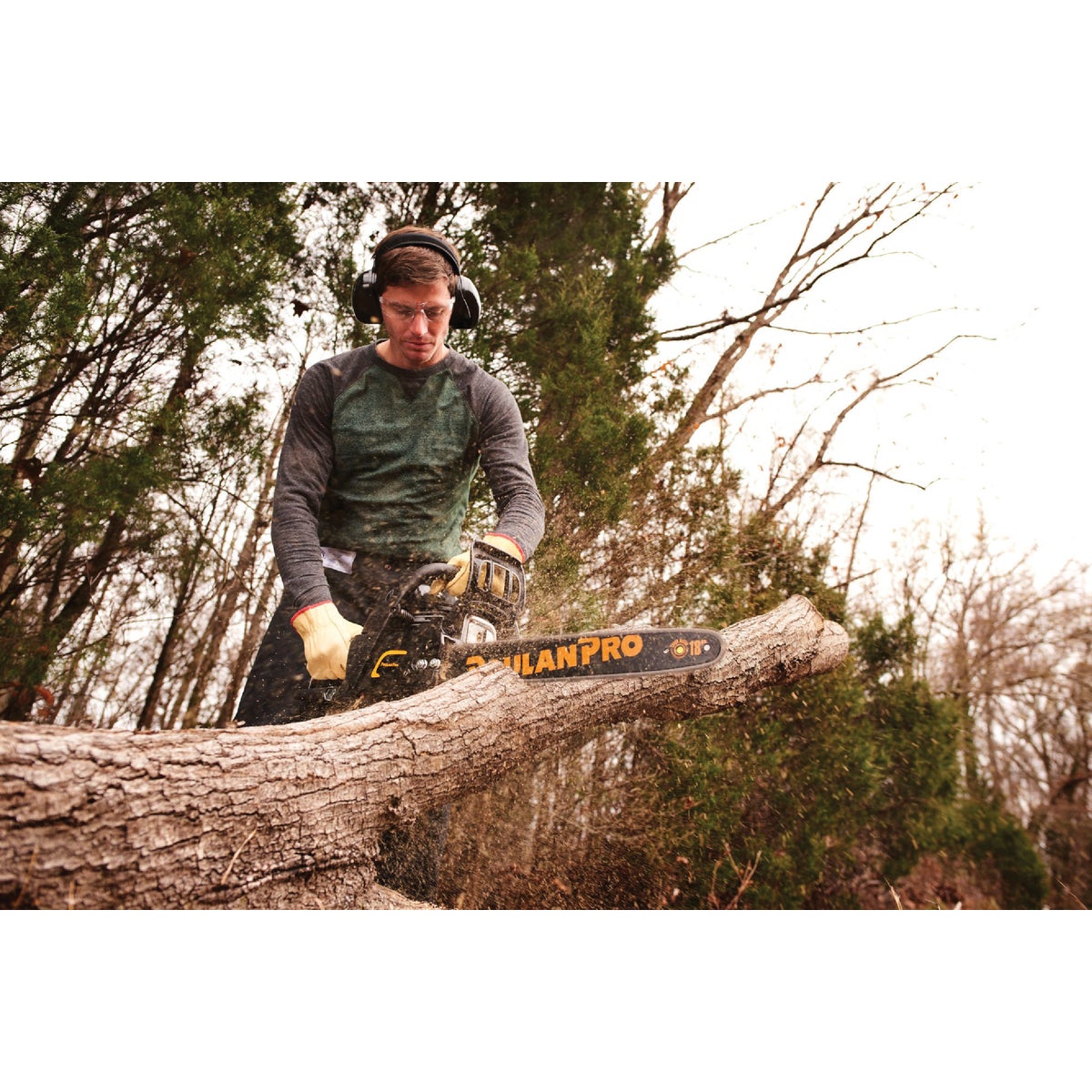 Poulan Pro PR4218 18 In. 42 CC Gas Chainsaw