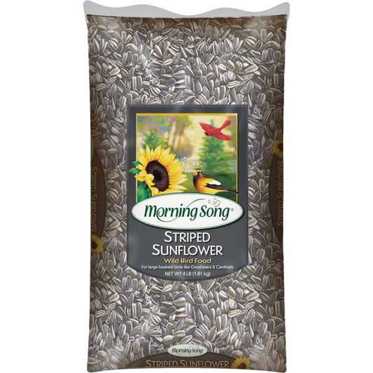 Morning Song 4 Lb. Striped Sunflower Wild Bird Seed