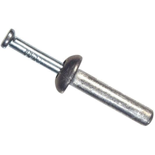 Hillman 1/4 In. x 2 In. Hammer Drive Anchor (100 Ct.)