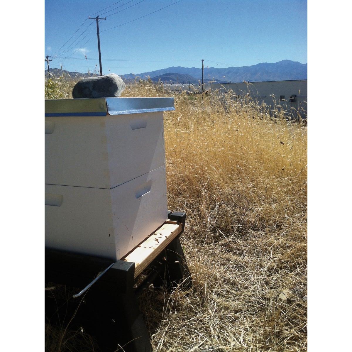 Harvest Lane Honey 18-1/2 In. W. x 2 In. H. x 22-1/2 In. L. Wood 10-Frame Beehive Flat, Telescoping Top