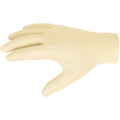 Safety Works Large Latex Disposable Glove (10-Pack)