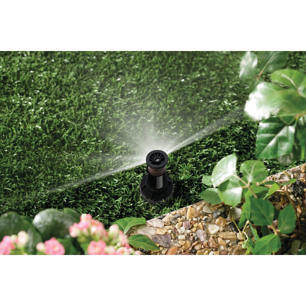 Orbit WaterMaster 2.125 In. Half Circle Plastic Sprinkler Pop-Up Head