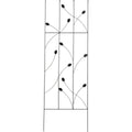 Best Garden Metal Ladder Black Trellis
