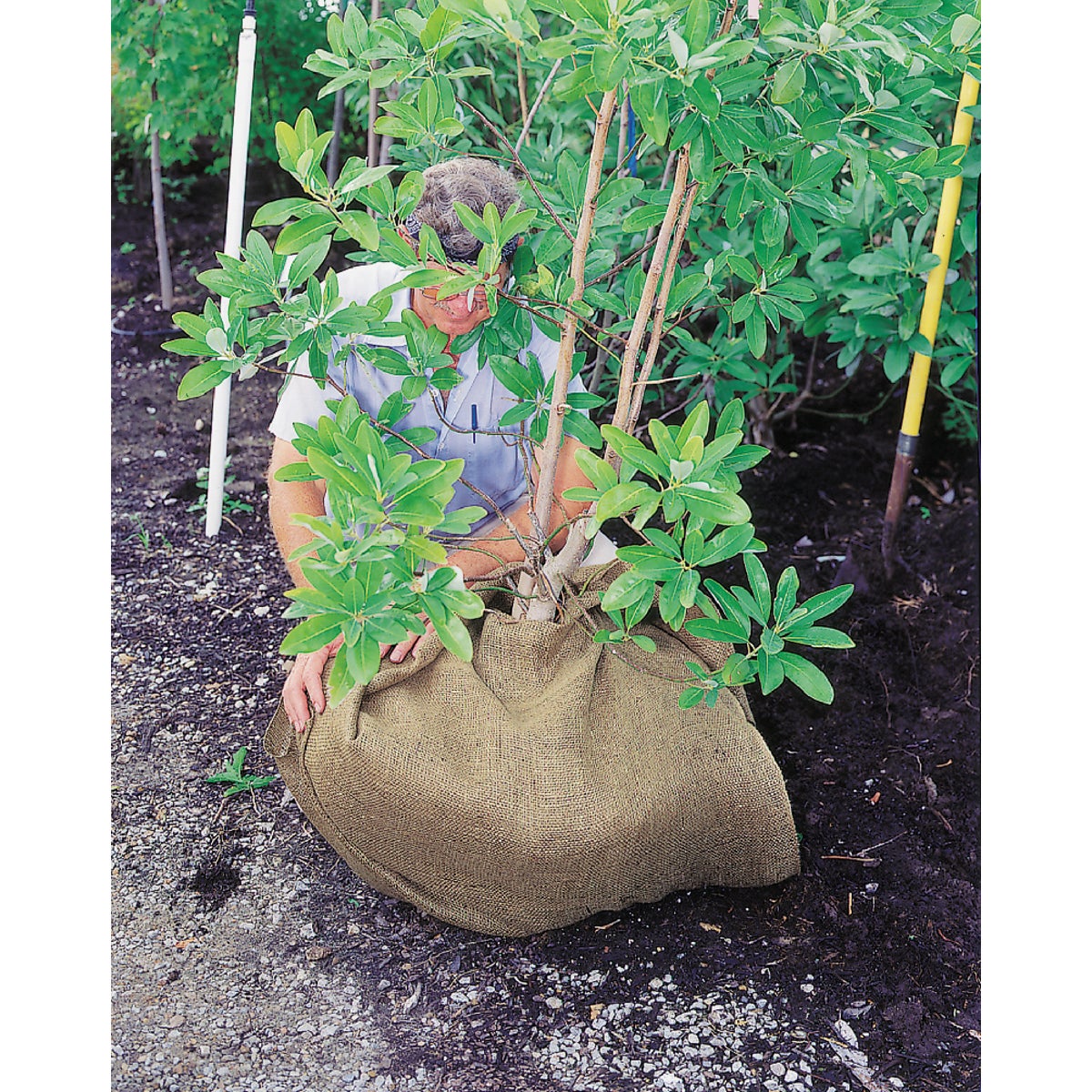 DeWitt 12 Ft. W. x 3 Ft. L. Natural Burlap