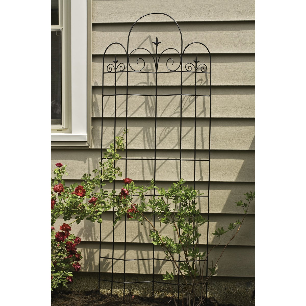 Panacea Metal Offset Cathedral Black Trellis