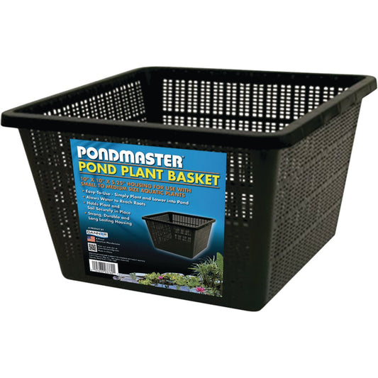 PondMaster 10 In. x 10 In. Black Pond Plantainer