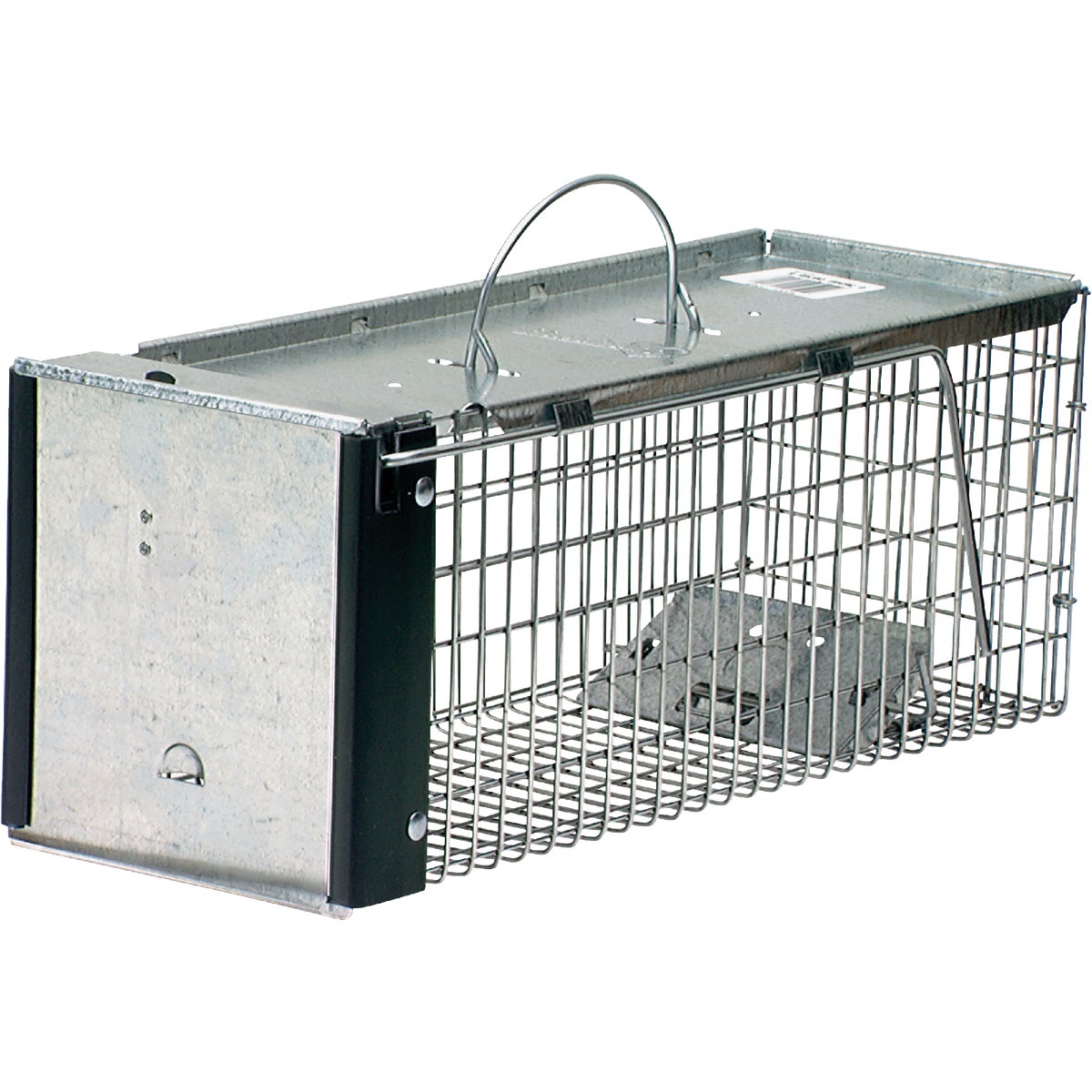 Havahart Galvanized Steel 16 In. Live Squirrel, Chipmunk, Rat, & Weasel Trap