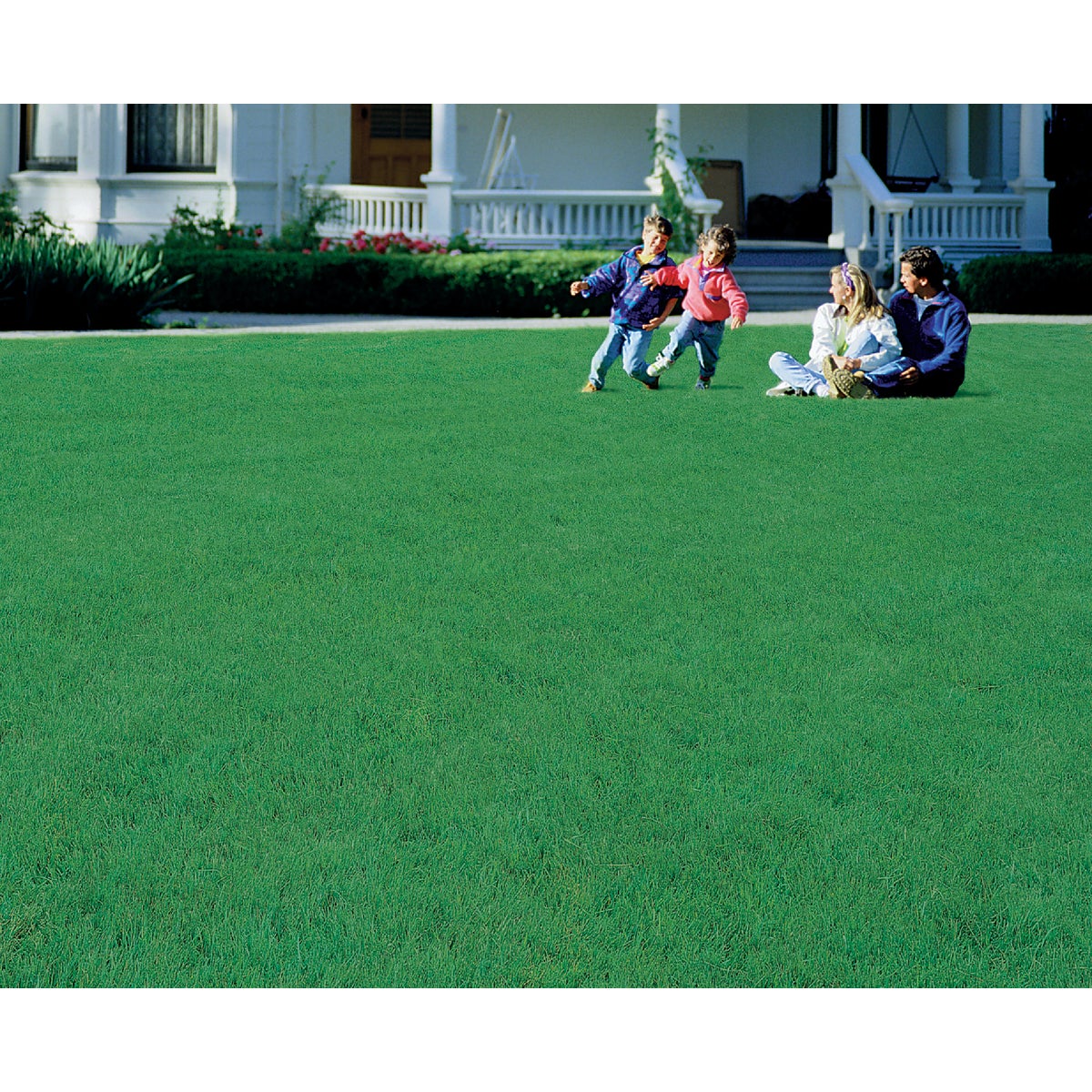 Wonderlawn Quick Lawn 3 Lb. 900 Sq. Ft. Coverage Annual & Perennial Ryegrass Grass Seed