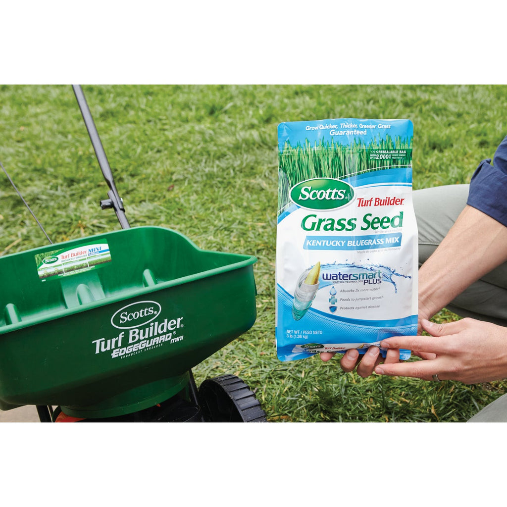 Scotts Turf Builder 3 Lb. Up To 2000 Sq. Ft. Coverage Kentucky Bluegrass Grass Seed