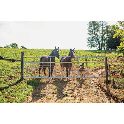 Tarter Watchman 50 In. H. x 16 Ft. L. x 1-3/4 In. Tube Diameter Galvanized Tube Gate