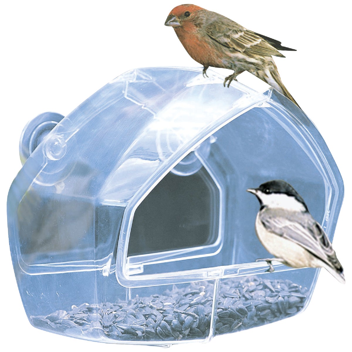 Birdscapes Clear Plastic Window Bird Feeder