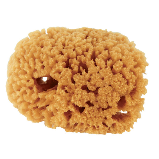 Purdy Symphony 4 In. Yellow Sea Natural Sea Sponge