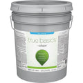 True Basics by Valspar Flat Exterior Paint, 5 Gal., Pastel Base