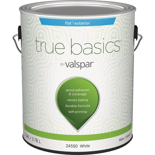 True Basics by Valspar Flat Exterior House Paint, 1 Gal., White