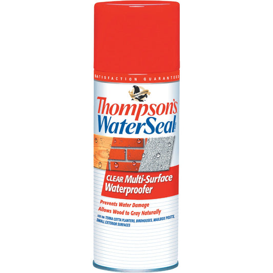 Thompson's WaterSeal Clear Water-Based MultiSurface Waterproofer Sealer, 12 Oz.