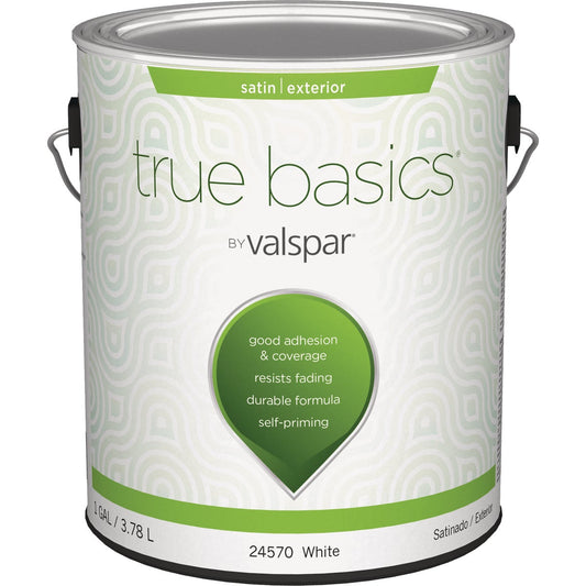 True Basics by Valspar Satin Exterior House Paint, 1 Gal., White