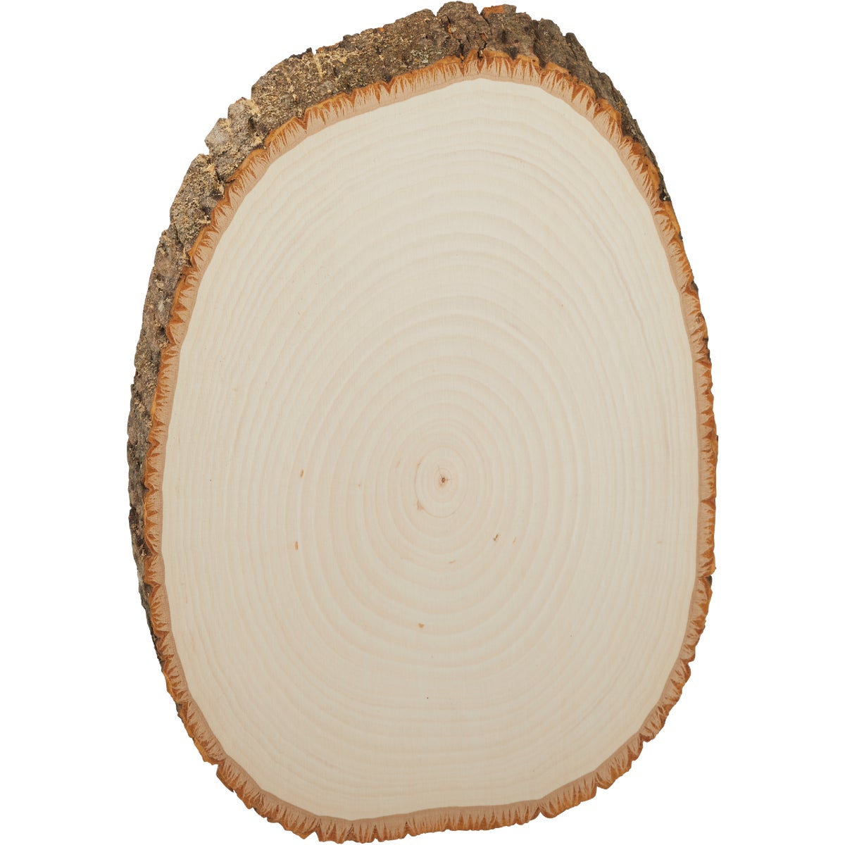 Walnut Hollow Basswood Country Rounds 7 to 9 In. Oval Live Edge Circle Plank