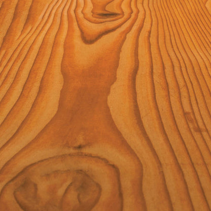 Wolman F&P Transparent Wood Finish And Preservative, Natural, 5 Gal.