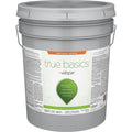 True Basics by Valspar Semi-Gloss Exterior Paint, 5 Gal., Pastel Base