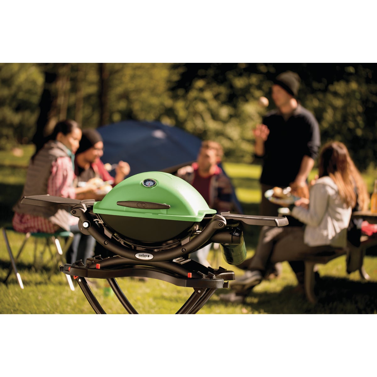 Weber Q 1200 1-Burner Green 8,500-BTU LP Gas Grill