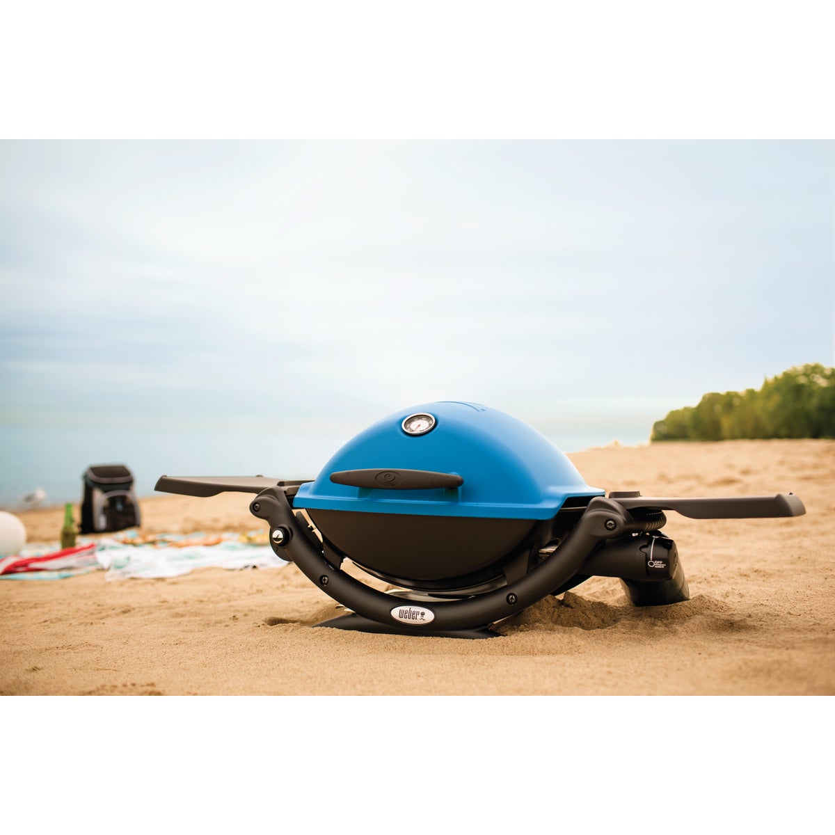 Weber Q 1200 1-Burner Blue 8,500-BTU LP Gas Grill