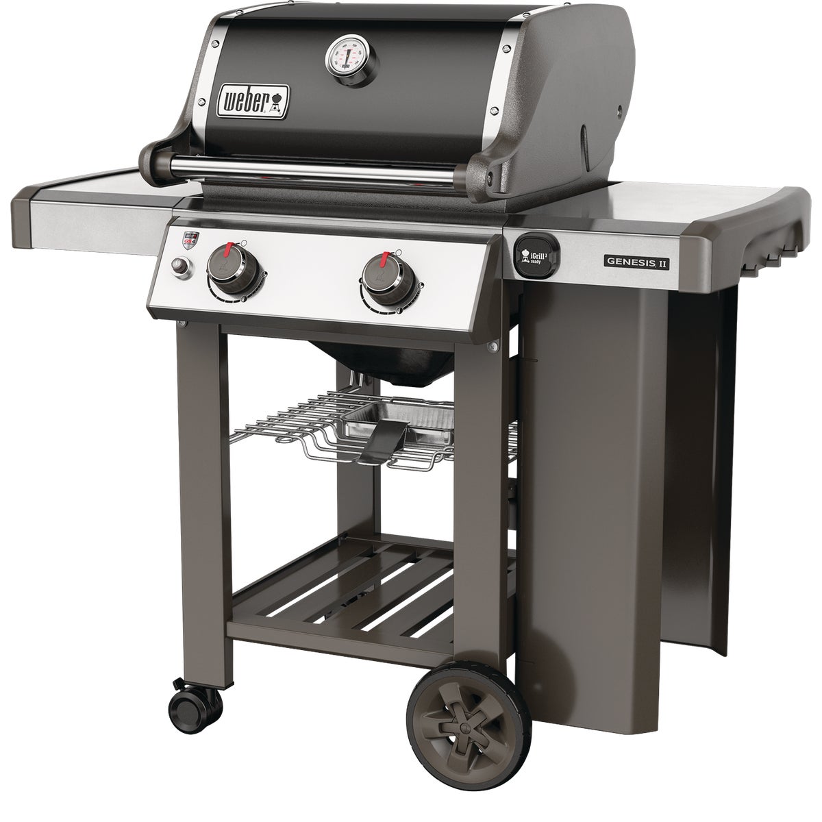 Weber Genesis II E-210 2-Burner Black 26,000-BTU LP Gas Grill