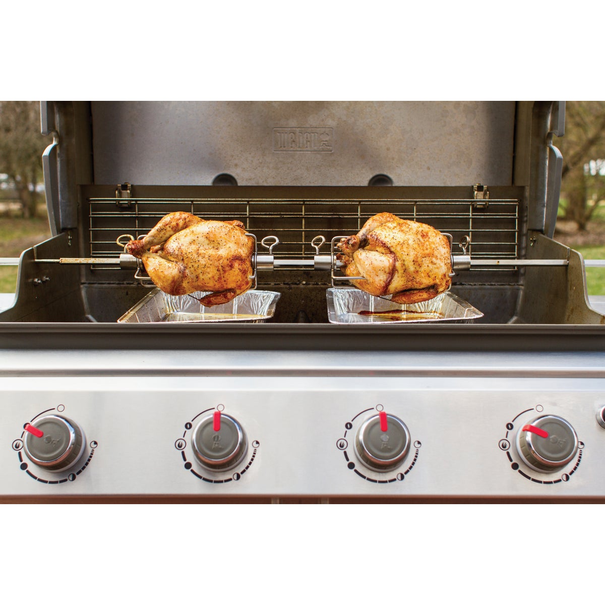 Weber Genesis II 4 & 6 Burner 53 In. Stainless Steel Gas Grill Rotisserie