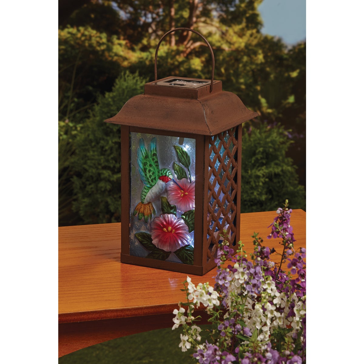Outdoor Expressions 6 In. W. x 9.5 In. H. x 6 In. D. Solar Patio Latern