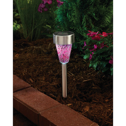 Outdoor Expressions Green, Red, or Purple 2.10 Lumens Stainless Steel Solar Path Light