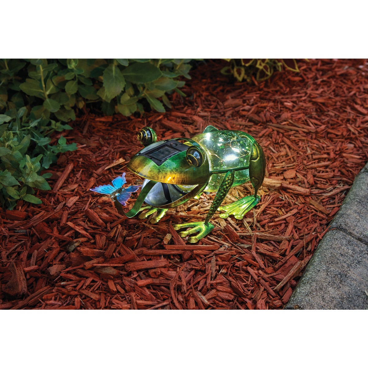 Outdoor Expressions 5.5 In. H. Frog Solar Light