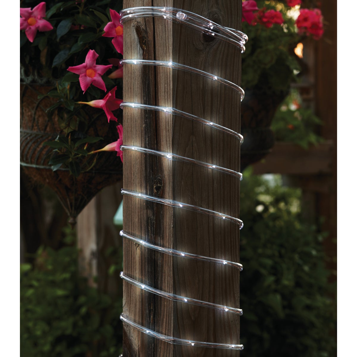 Outdoor Expressions 28 Ft. 100-Light LED Cool White Solar Rope Light