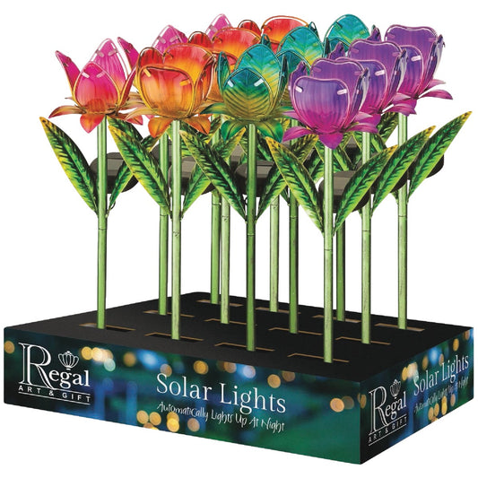 Regal Mini Solar Tulip Stake Assortment