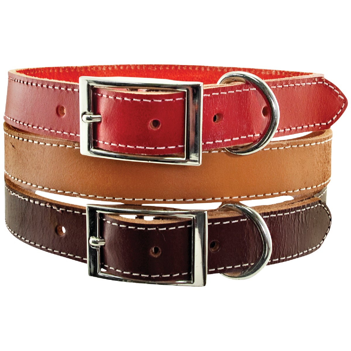 Westminster Pet Ruffin' it Adjustable 20 In. Leather Dog Collar