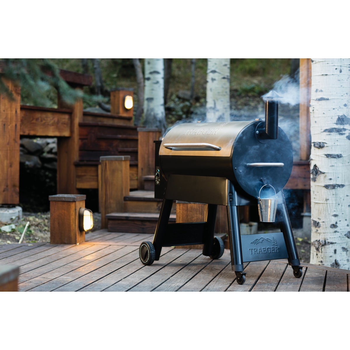 Traeger Pro Series 34 Bronze 36,000-BTU 884 Sq. In. Wood Pellet Grill