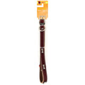 Westminster Pet Ruffin' it Adjustable 20 In. Ornamented Leather Dog Collar