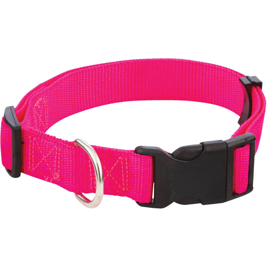 Westminster Pet Ruffin' it Adjustable 18 In. to 26 In. Nylon Dog Collar